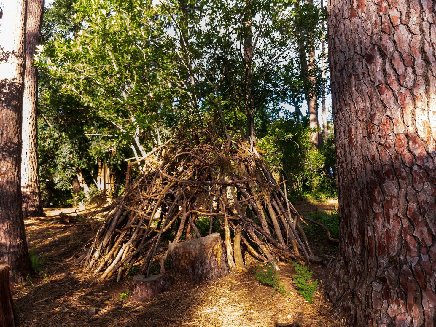 Challenges and Solutions in Nomadic Housing